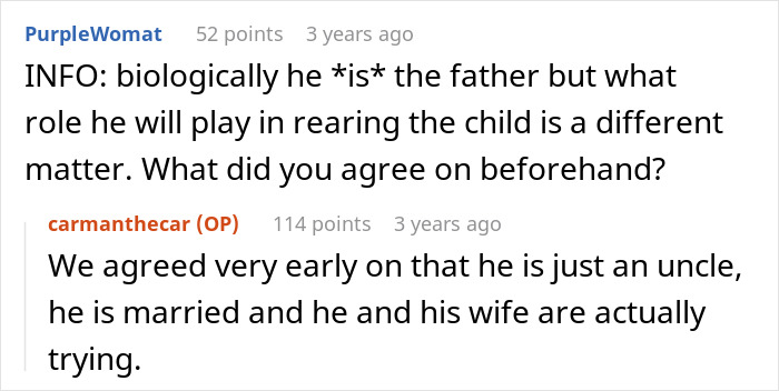 &#8220;[Am I The Jerk] For Kicking My BIL Out After He Referred To Himself As The Father Of My Child?”