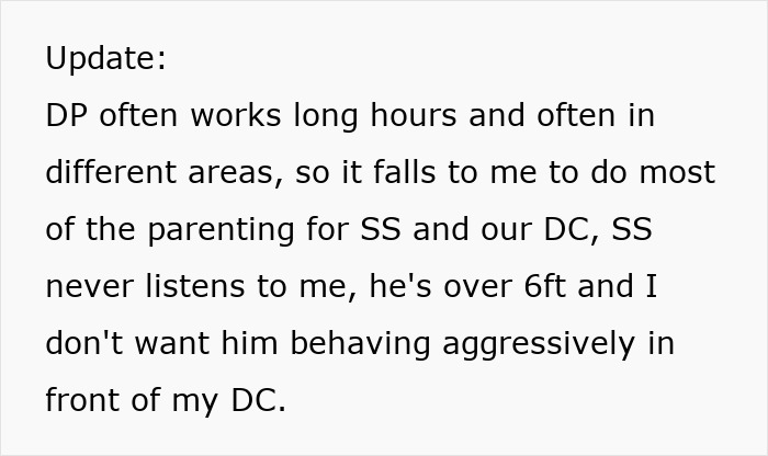 Stepson Doesn’t Follow House Rules At All, Infuriated Stepmom Wants Him To Stop Coming Over