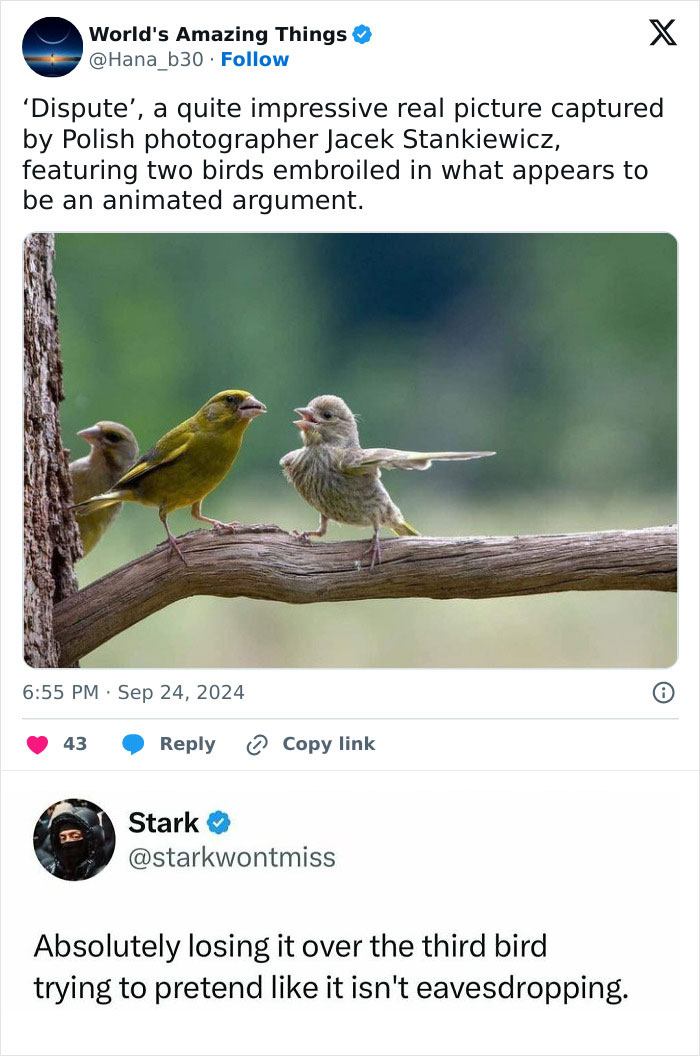 50 Hilarious Animal Memes That Might Make Your Day At Least Slightly Better