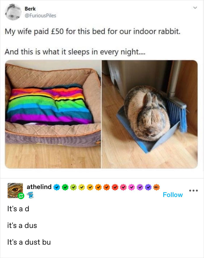 50 Hilarious Animal Memes That Might Make Your Day At Least Slightly Better