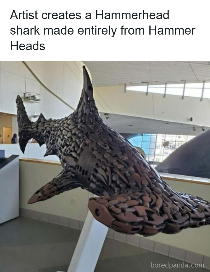50 Hilarious Animal Memes That Might Make Your Day At Least Slightly Better