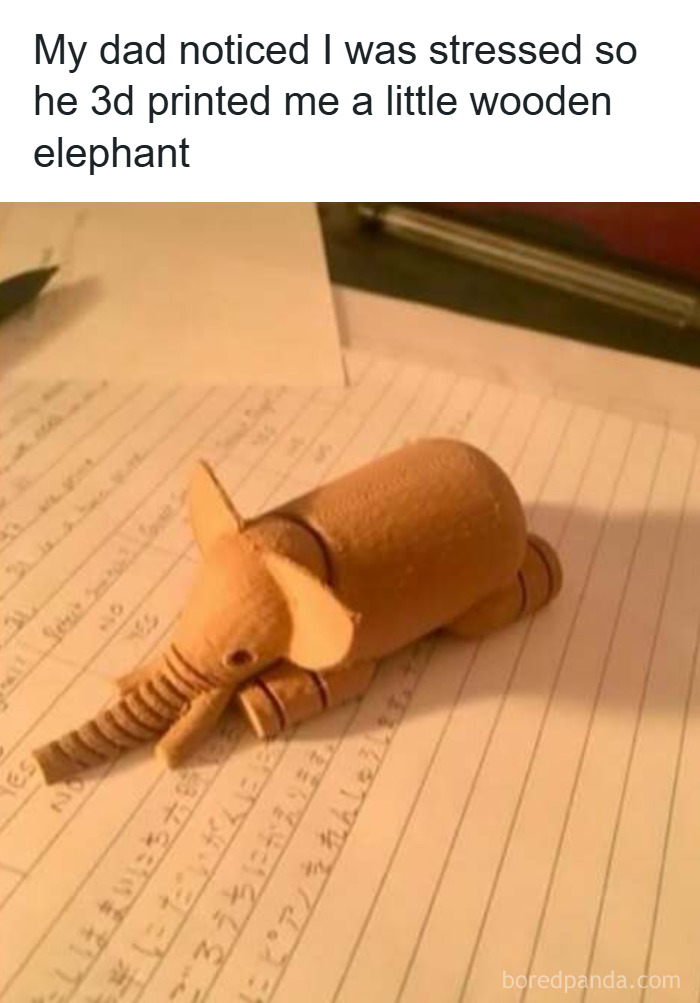 50 Hilarious Animal Memes That Might Make Your Day At Least Slightly Better