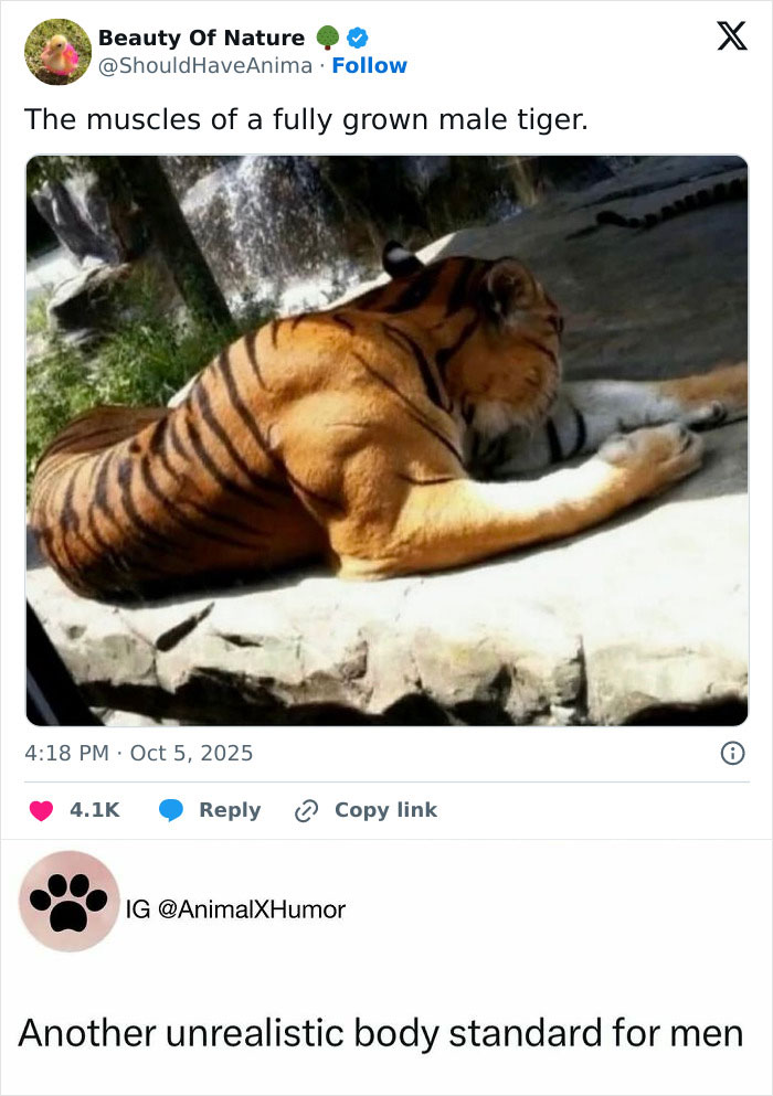 50 Hilarious Animal Memes That Might Make Your Day At Least Slightly Better