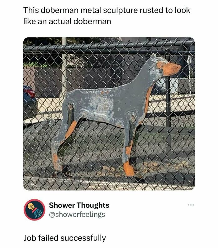50 Hilarious Animal Memes That Might Make Your Day At Least Slightly Better