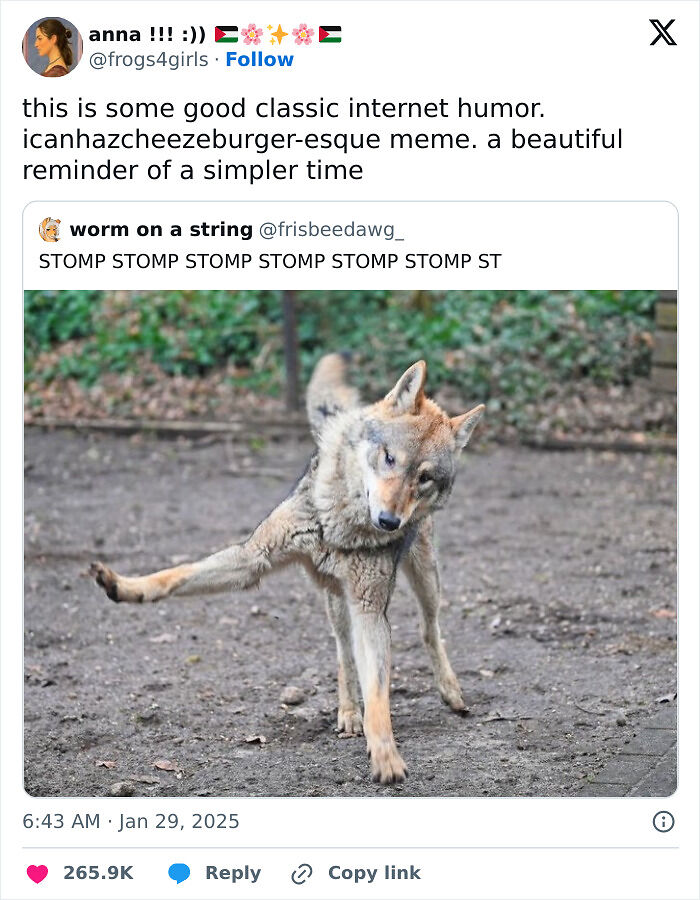 50 Hilarious Animal Memes That Might Make Your Day At Least Slightly Better