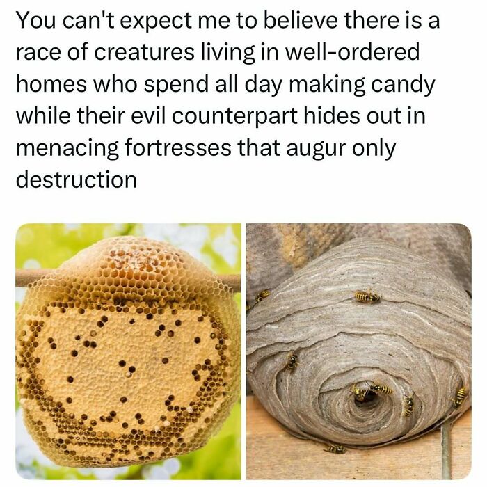 50 Hilarious Animal Memes That Might Make Your Day At Least Slightly Better