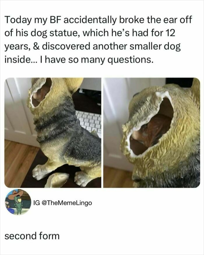 50 Hilarious Animal Memes That Might Make Your Day At Least Slightly Better