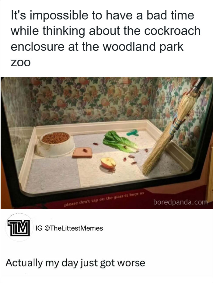 50 Hilarious Animal Memes That Might Make Your Day At Least Slightly Better