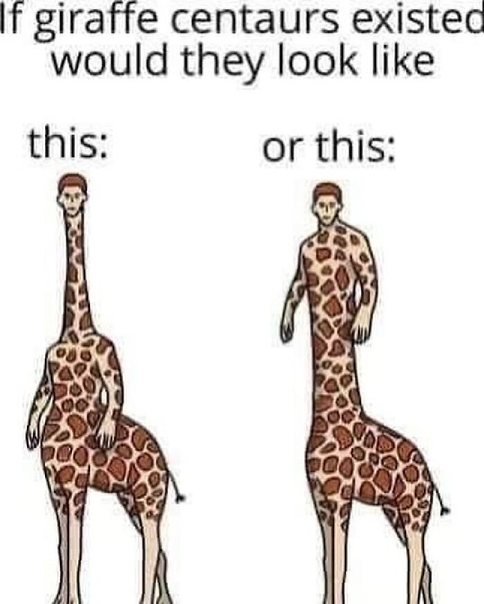 50 Hilarious Animal Memes That Might Make Your Day At Least Slightly Better