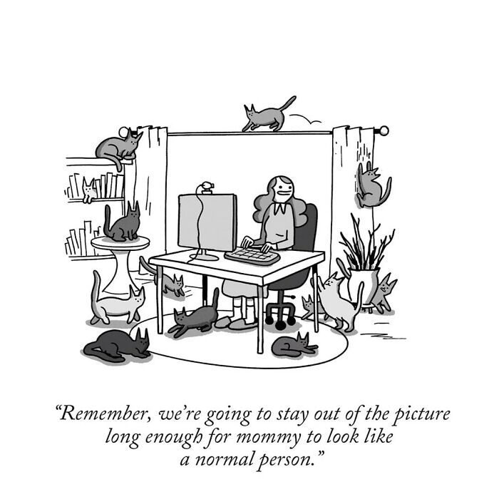 60 Darkly Funny One-Panel Comics By ‘War And Peas’ That Might Make You Laugh