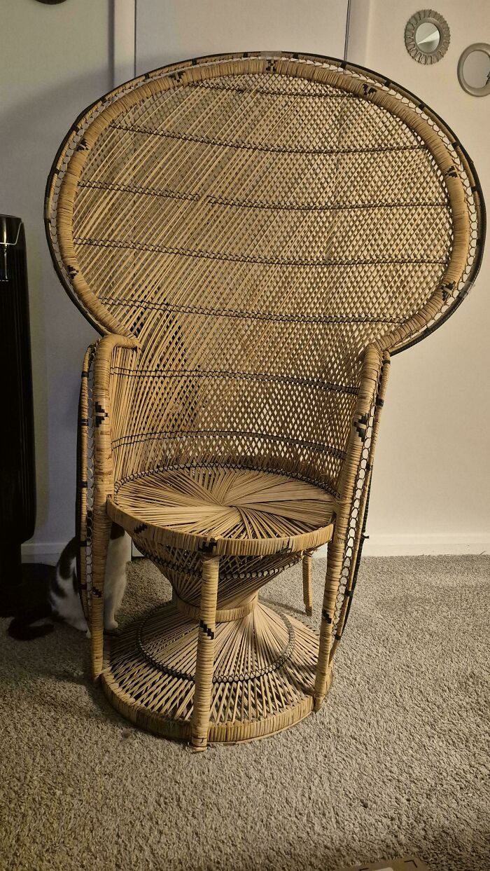 55 Dumpster Diving Treasures Your Neighborhood Raccoons Would Be Wowed By (New Pics)