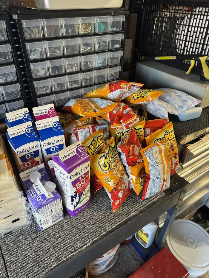 55 Dumpster Diving Treasures Your Neighborhood Raccoons Would Be Wowed By (New Pics)