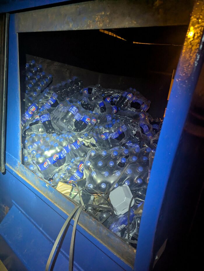 55 Dumpster Diving Treasures Your Neighborhood Raccoons Would Be Wowed By (New Pics)