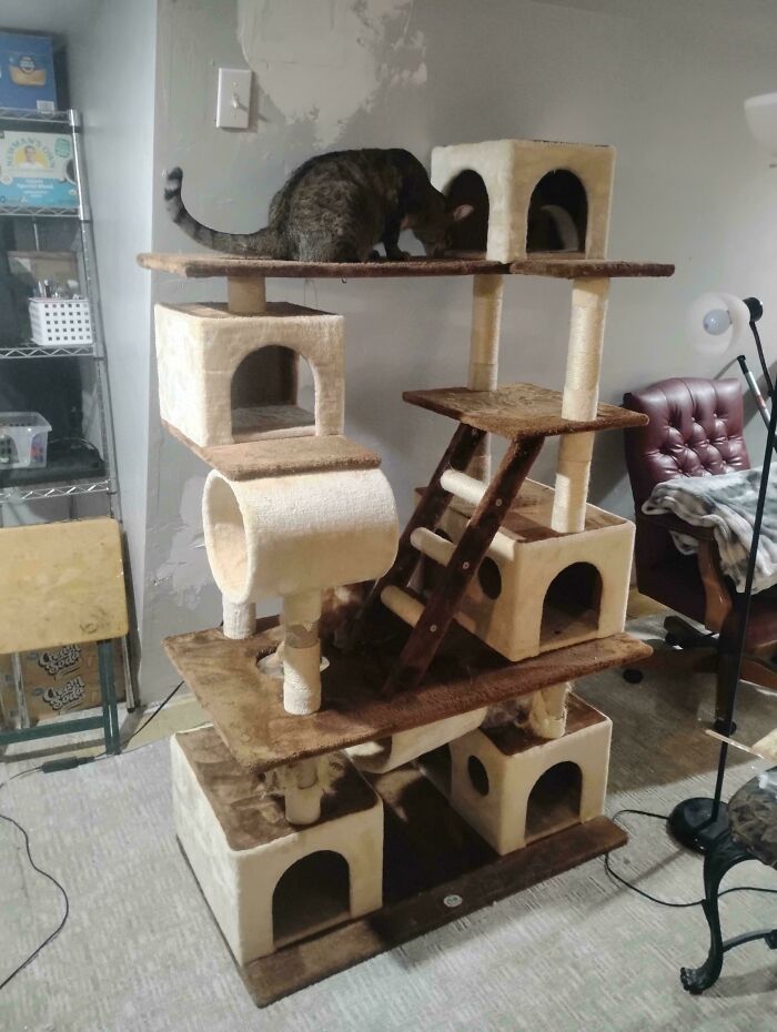 55 Dumpster Diving Treasures Your Neighborhood Raccoons Would Be Wowed By (New Pics)