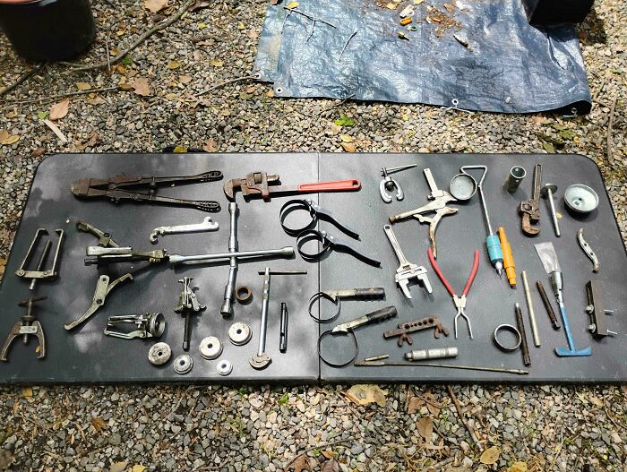 55 Dumpster Diving Treasures Your Neighborhood Raccoons Would Be Wowed By (New Pics)