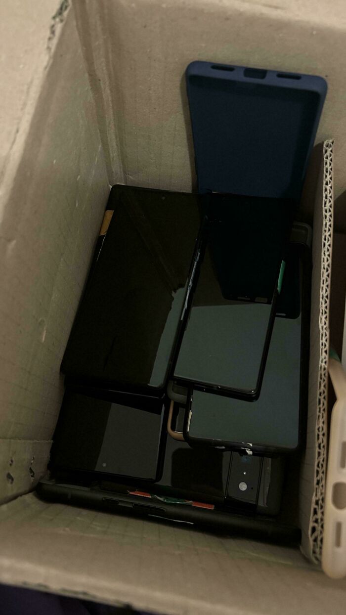 55 Dumpster Diving Treasures Your Neighborhood Raccoons Would Be Wowed By (New Pics)