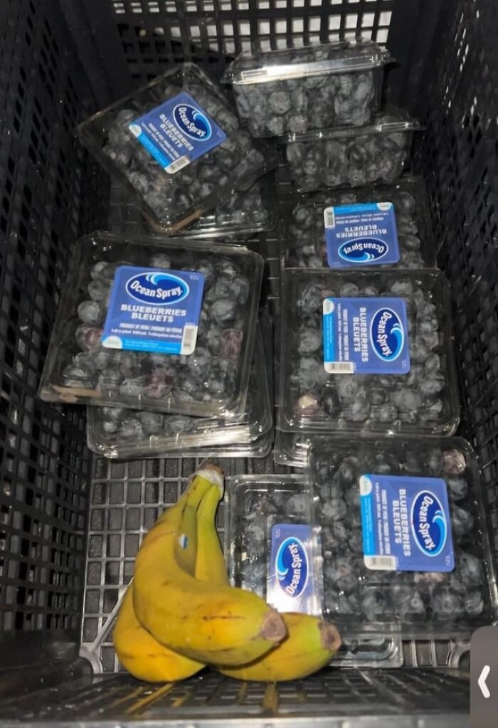 55 Dumpster Diving Treasures Your Neighborhood Raccoons Would Be Wowed By (New Pics)