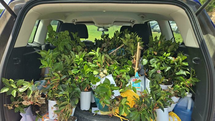 55 Dumpster Diving Treasures Your Neighborhood Raccoons Would Be Wowed By (New Pics)