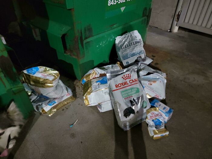 55 Dumpster Diving Treasures Your Neighborhood Raccoons Would Be Wowed By (New Pics)