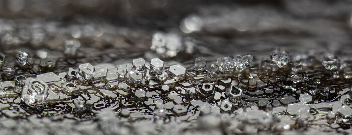 71 Mind-Blowing Microscopic Images From The 2025 Nikon Small World Photomicrography Contest