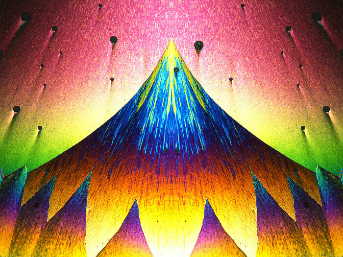 71 Mind-Blowing Microscopic Images From The 2025 Nikon Small World Photomicrography Contest