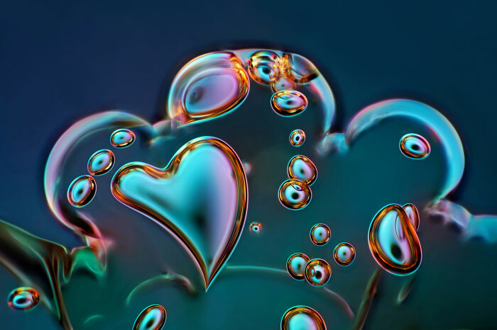 71 Mind-Blowing Microscopic Images From The 2025 Nikon Small World Photomicrography Contest