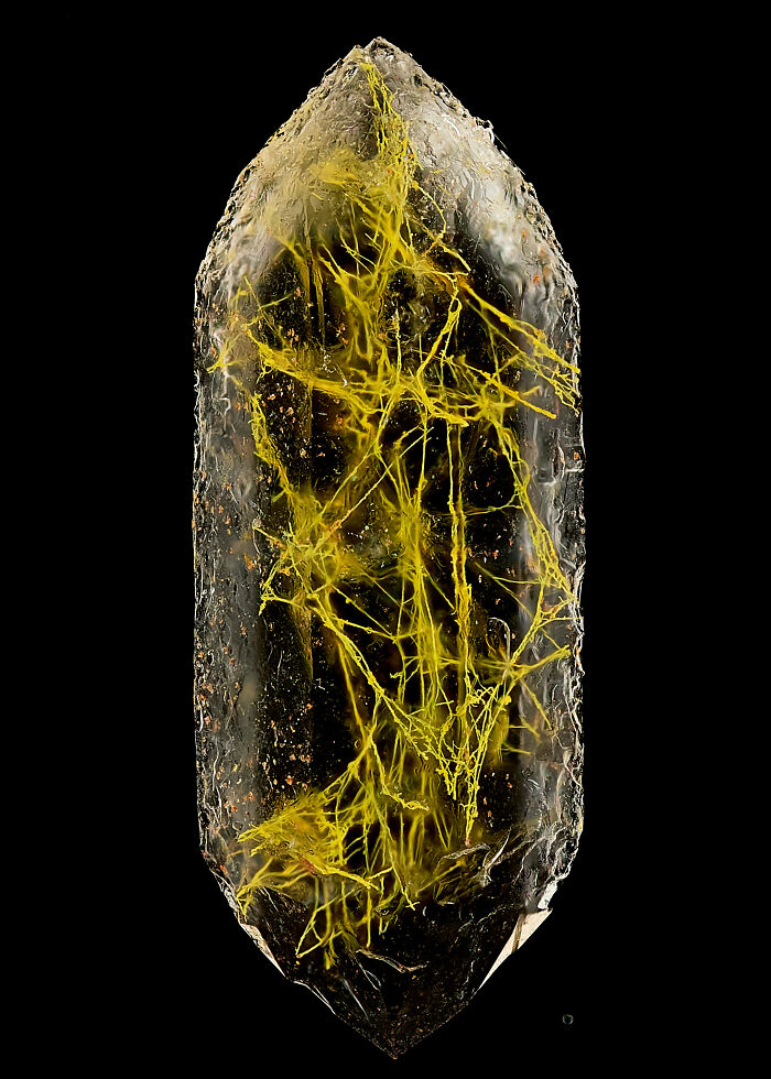 71 Mind-Blowing Microscopic Images From The 2025 Nikon Small World Photomicrography Contest