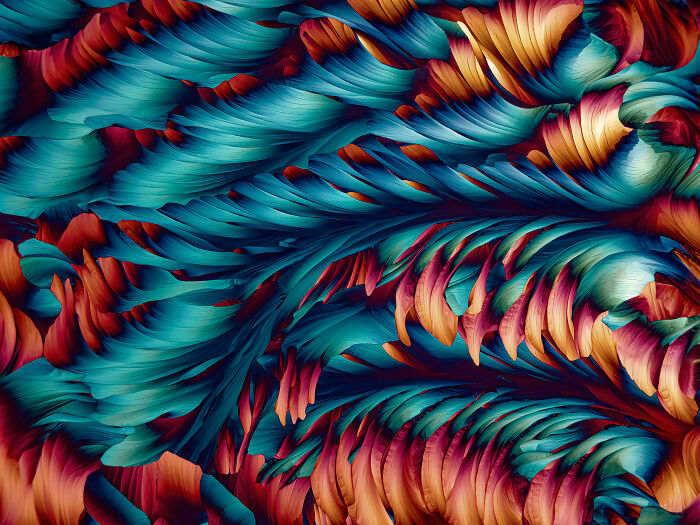 71 Mind-Blowing Microscopic Images From The 2025 Nikon Small World Photomicrography Contest