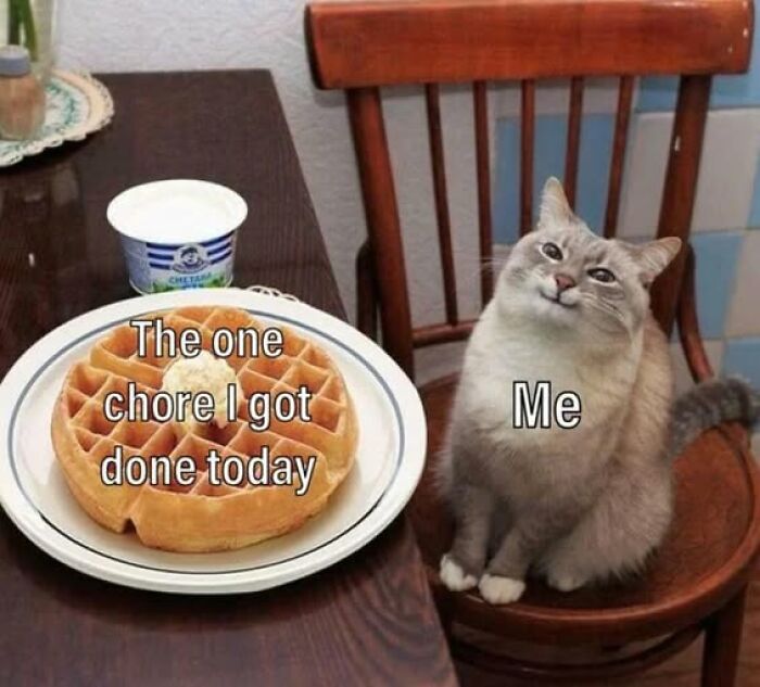“Be The Entire Problem”: 56 Cat Memes For People Whose Life Mission Is To ‘Pspsp’ To Every Cat