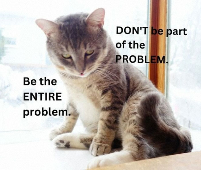 “Be The Entire Problem”: 56 Cat Memes For People Whose Life Mission Is To ‘Pspsp’ To Every Cat