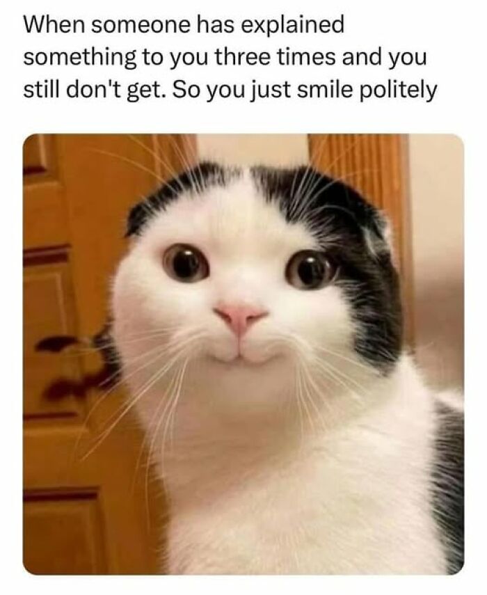 “Be The Entire Problem”: 56 Cat Memes For People Whose Life Mission Is To ‘Pspsp’ To Every Cat