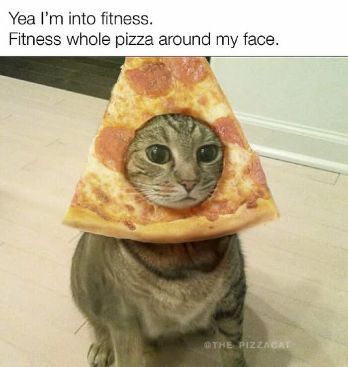 “Be The Entire Problem”: 56 Cat Memes For People Whose Life Mission Is To ‘Pspsp’ To Every Cat