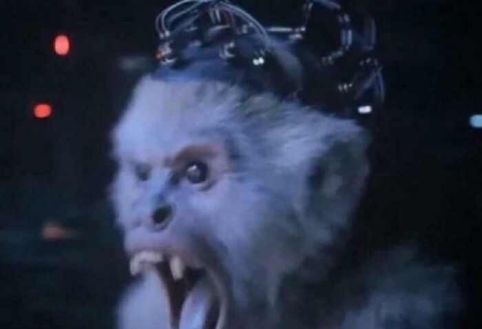 This Online Group Is Dedicated To Bad Movie Details And Here Are 81 Of The Most Confusing Ones (New Pics) This Online Group Is Dedicated To Bad Movie Details And Here Are 81 Of The Most Confusing Ones (New Pics)