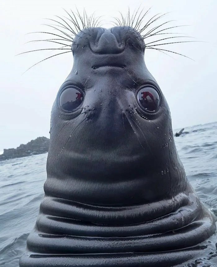 91 Pics That Came Out So Weird, They Became Blessed And Cursed All At Once