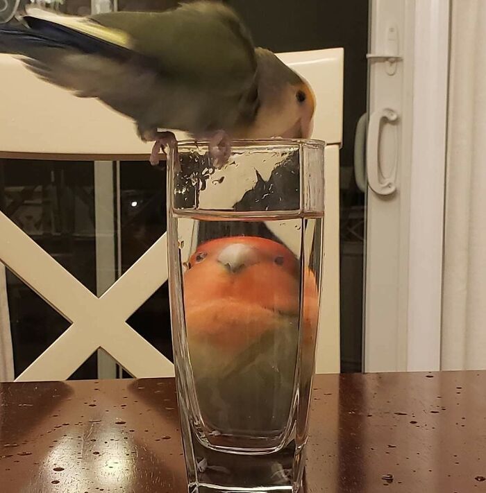 91 Pics That Came Out So Weird, They Became Blessed And Cursed All At Once