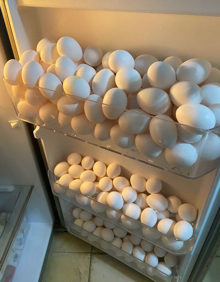 91 Pics That Came Out So Weird, They Became Blessed And Cursed All At Once