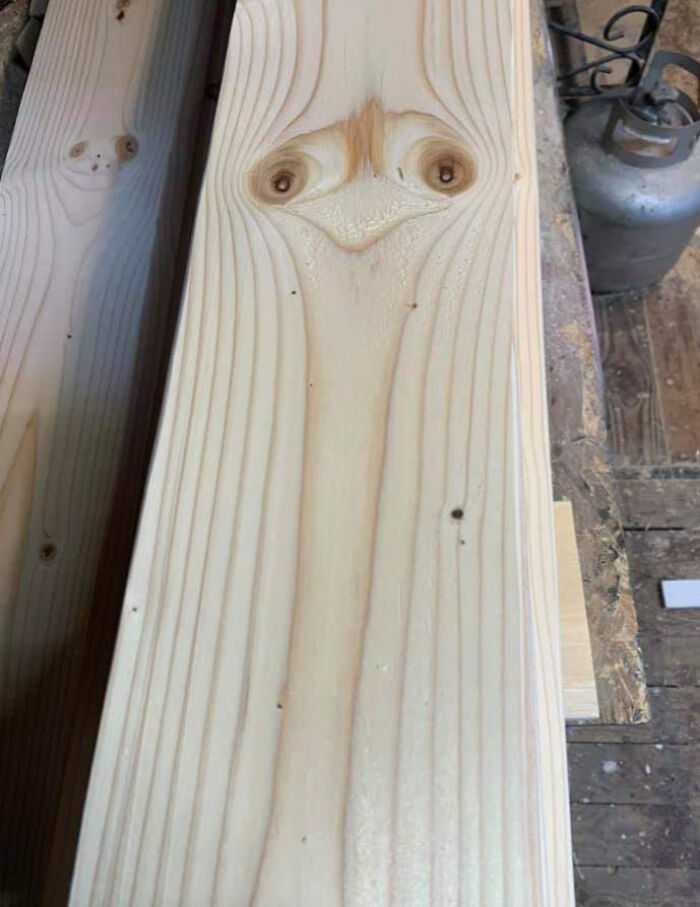 91 Pics That Came Out So Weird, They Became Blessed And Cursed All At Once