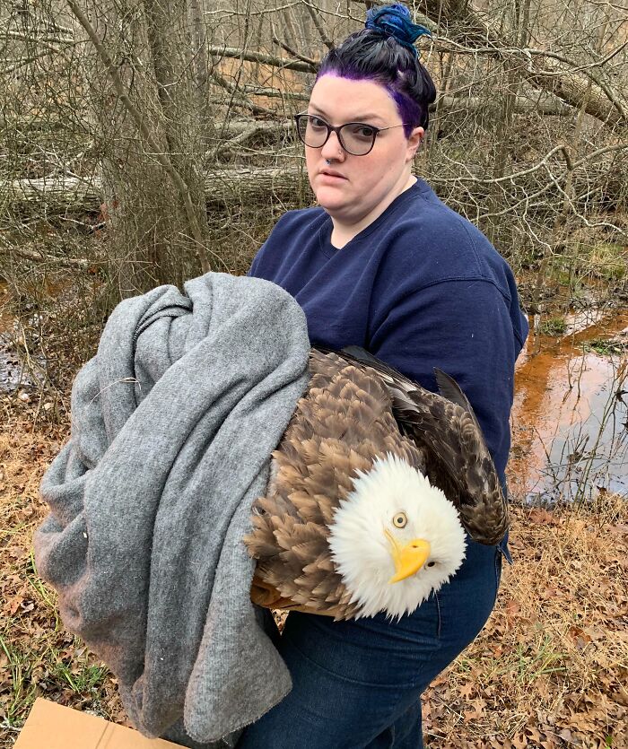 91 Pics That Came Out So Weird, They Became Blessed And Cursed All At Once