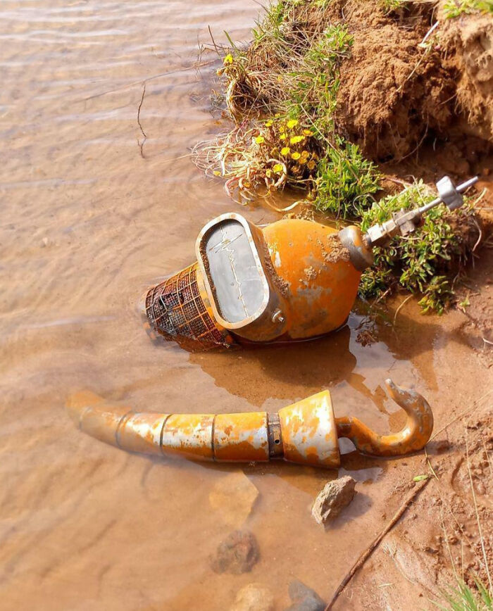 91 Pics That Came Out So Weird, They Became Blessed And Cursed All At Once