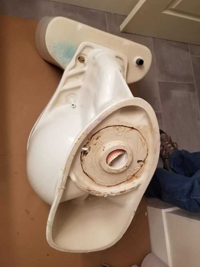 91 Pics That Came Out So Weird, They Became Blessed And Cursed All At Once