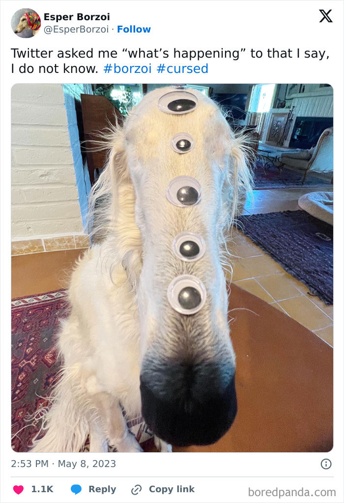 91 Pics That Came Out So Weird, They Became Blessed And Cursed All At Once