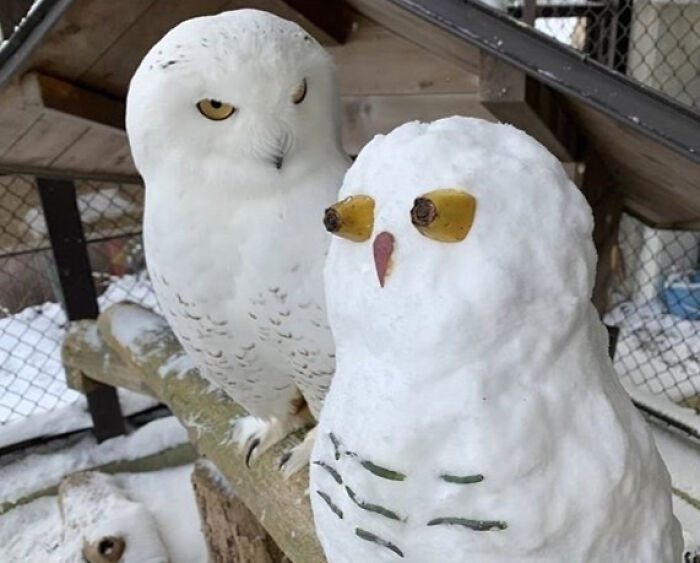 91 Pics That Came Out So Weird, They Became Blessed And Cursed All At Once