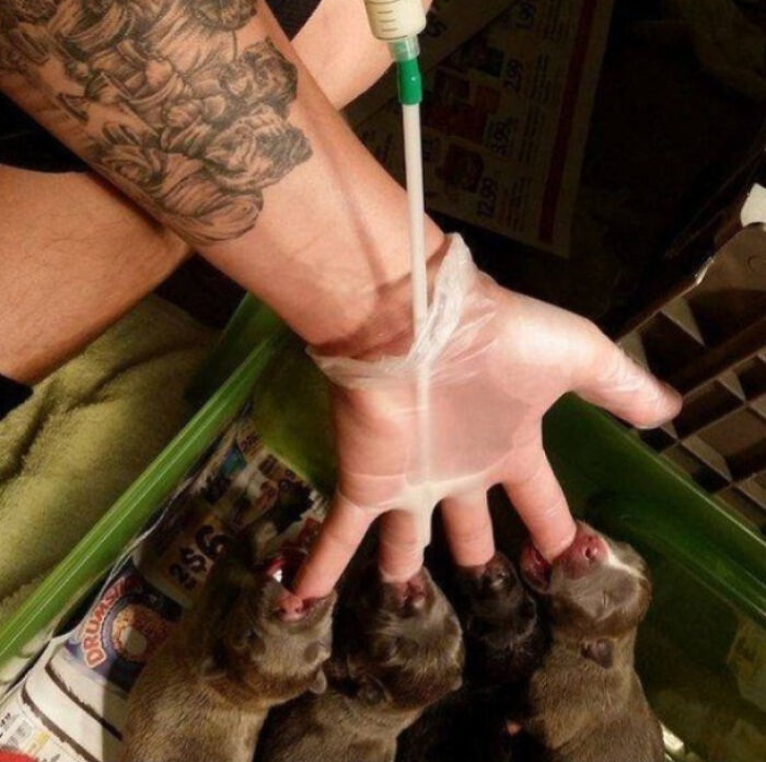 91 Pics That Came Out So Weird, They Became Blessed And Cursed All At Once
