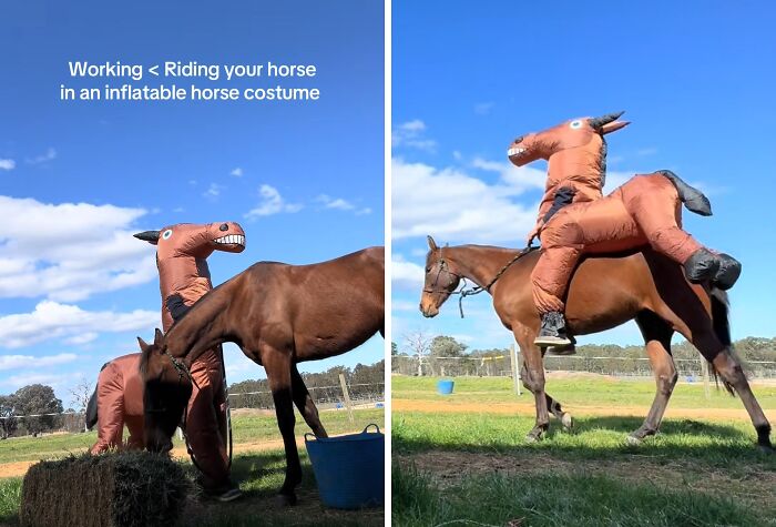 91 Pics That Came Out So Weird, They Became Blessed And Cursed All At Once