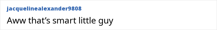 “Smart Little Guy”: 3-Year-Old Hero Saves Mom’s Life After She Falls Unconscious “Smart Little Guy”: 3-Year-Old Hero Saves Mom’s Life After She Falls Unconscious
