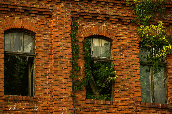 Abandoned Vinegar Factory In Margina, Romania