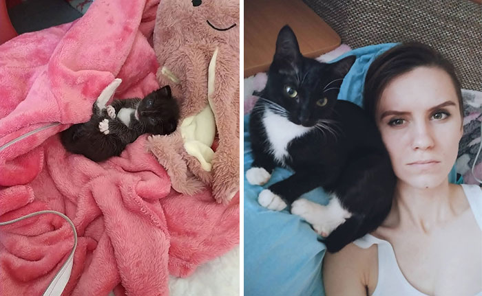 “Cat Grows”: 29 Side-By-Side Comparisons Of Cats Now And When They Were Little (New Pics)