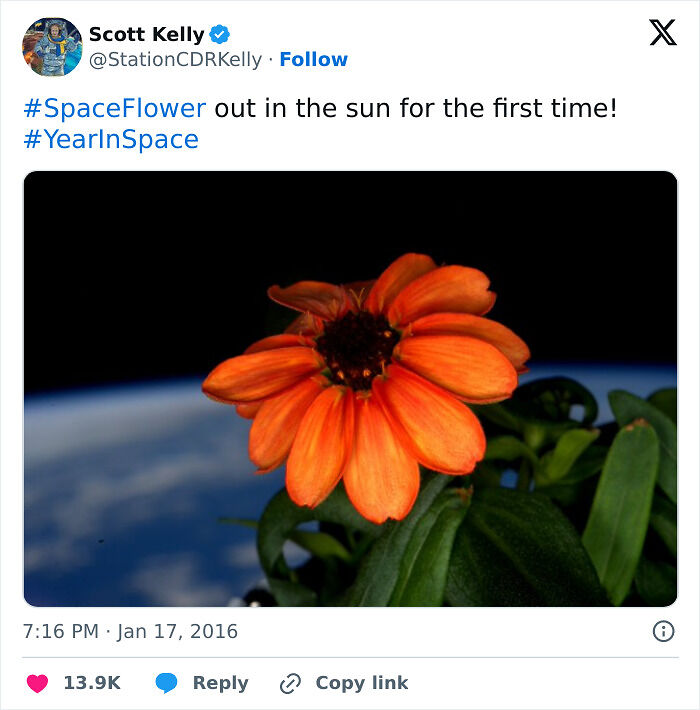 83 Epic Astronomy Photos That Show The Beauty And Mystery Of Space