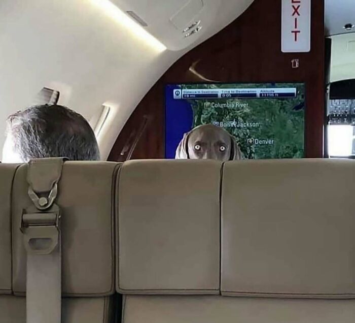 54 Pics From The Weird Side Of The Internet (New Pics)
