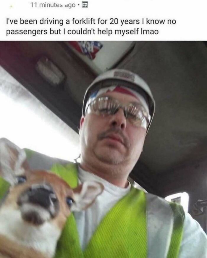 54 Pics From The Weird Side Of The Internet (New Pics)